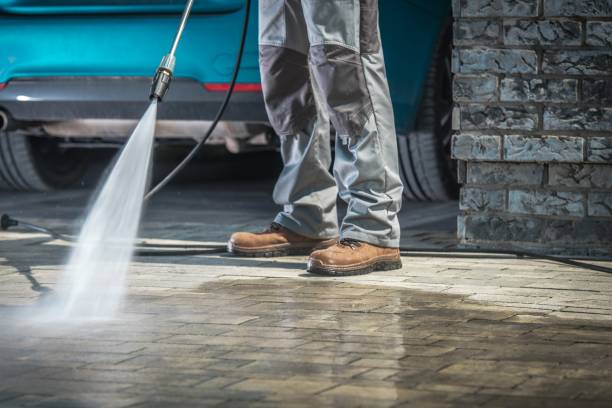 Best Building Exterior Washing  in Pine Valley, CA