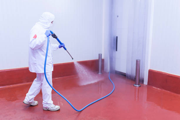 Pine Valley, CA  Pressure Washing Services Company