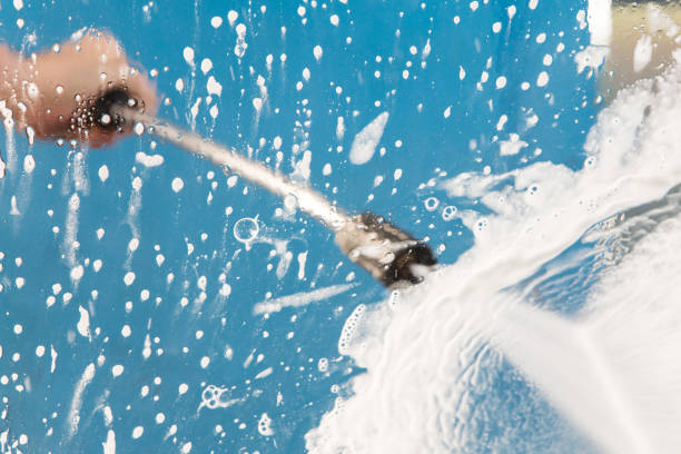 Best Pre-Holiday Cleaning  in Pine Valley, CA