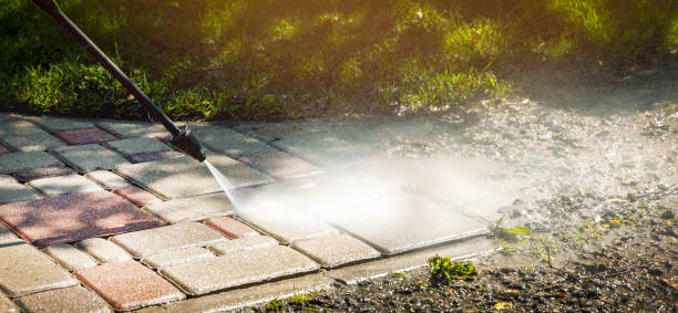 Best House Exterior Washing  in Pine Valley, CA