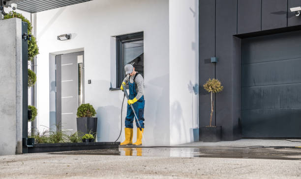Best Oil Spill Cleanup  in Pine Valley, CA
