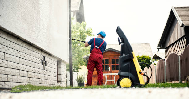 Best Sidewalk and Walkway Cleaning  in Pine Valley, CA